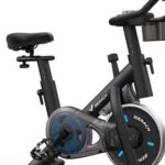 best exercise bike under $300