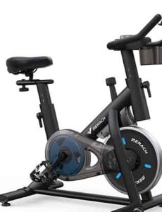 best exercise bike under $300