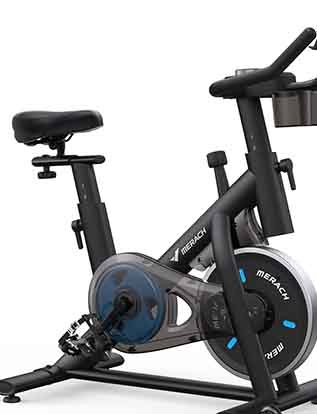 best exercise bike under $300